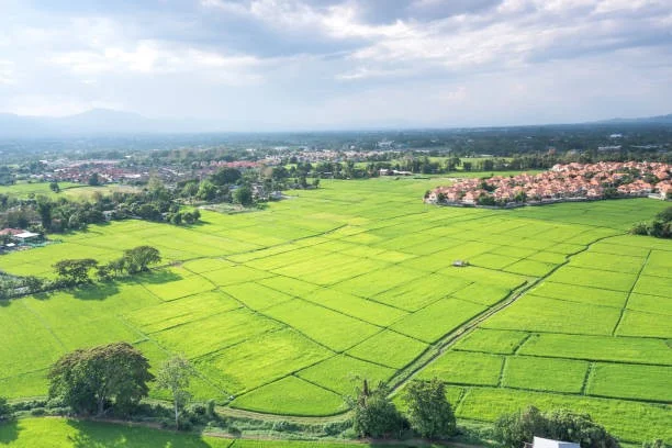 Desmembramento de terreno com construção