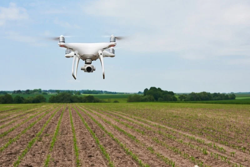 Serviço de topografia e agrimensura