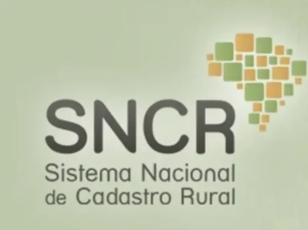 Imagem ilustrativa de SNCR